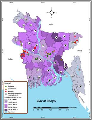 Epidemiology and phylodynamics of multiple clades of H5N1 circulating in domestic duck farms in different production systems in Bangladesh